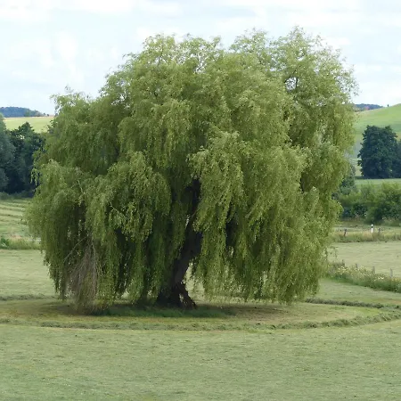 Appartement Komfort Ii